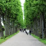 In In Strandnaehe *