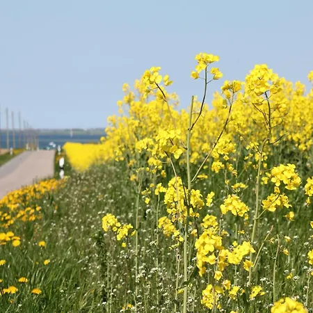 In In Strandnaehe * Boltenhagen (Ostseebad)