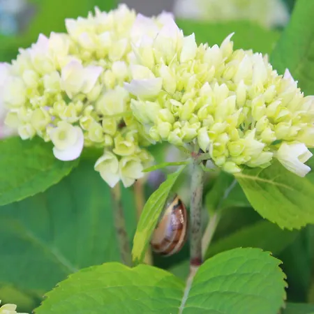 Casa vacanze In In Strandnaehe Boltenhagen (Ostseebad)