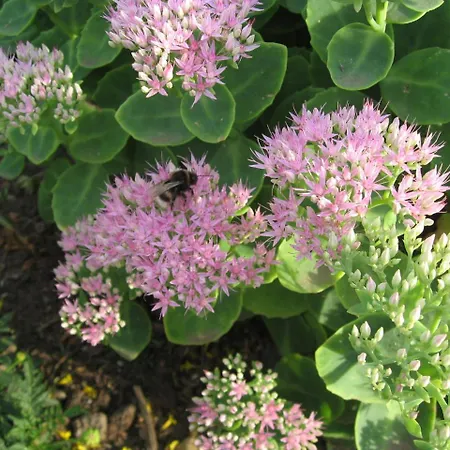 In In Strandnaehe * Boltenhagen (Ostseebad)